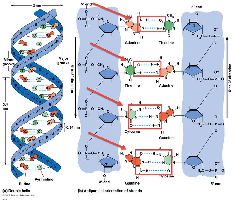 Best lizaro casino in United Kingdom